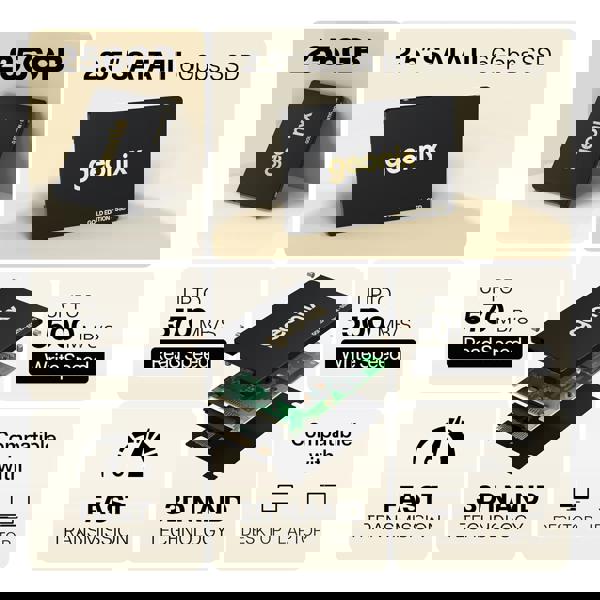 SSD GEONIX GOLD 256GB SATA